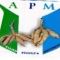 APM